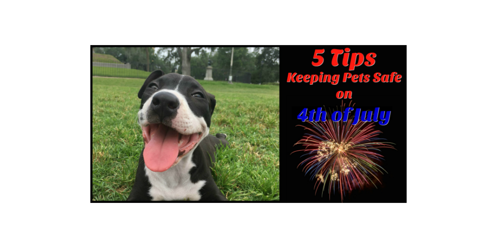 5 Tips to Keep Pets Safe on 4th of July and in the Summer