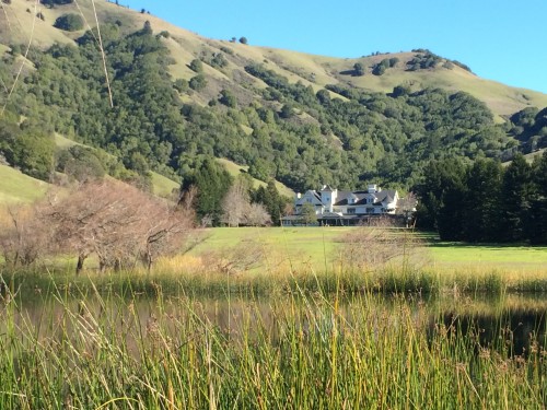 Lake Ewok at Skywalker Ranch with the Main House in the background. 