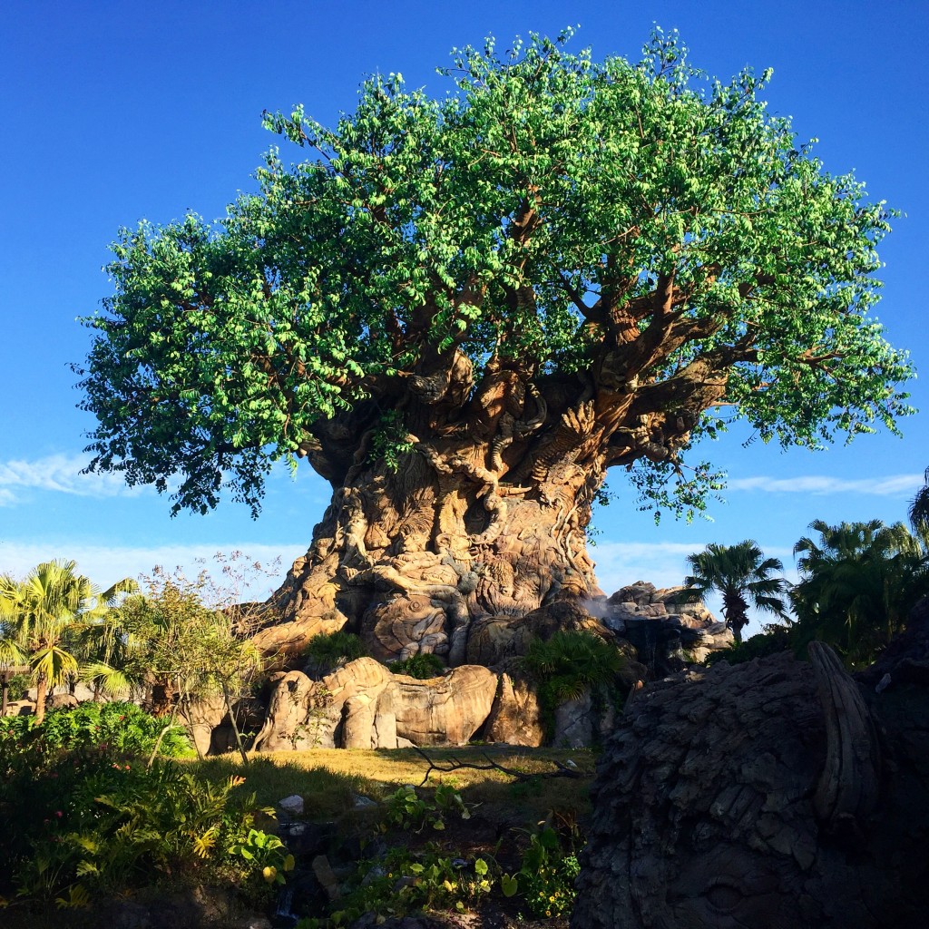 Albums 97+ Pictures images of animal kingdom Completed