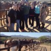 Horseback riding at Fort McDowell Adventures