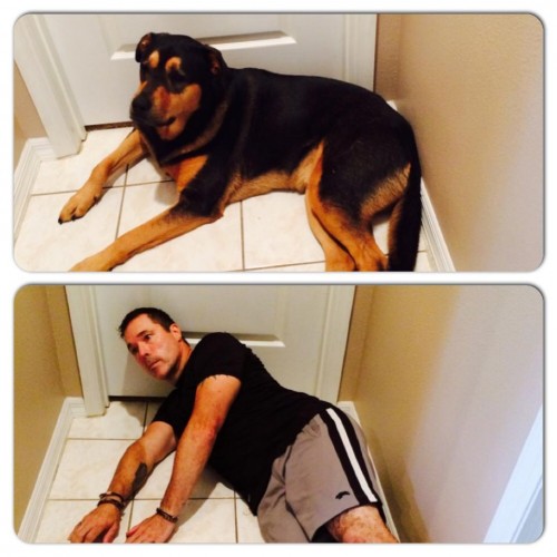 10301355_812428372110757_9029261886164324521_n