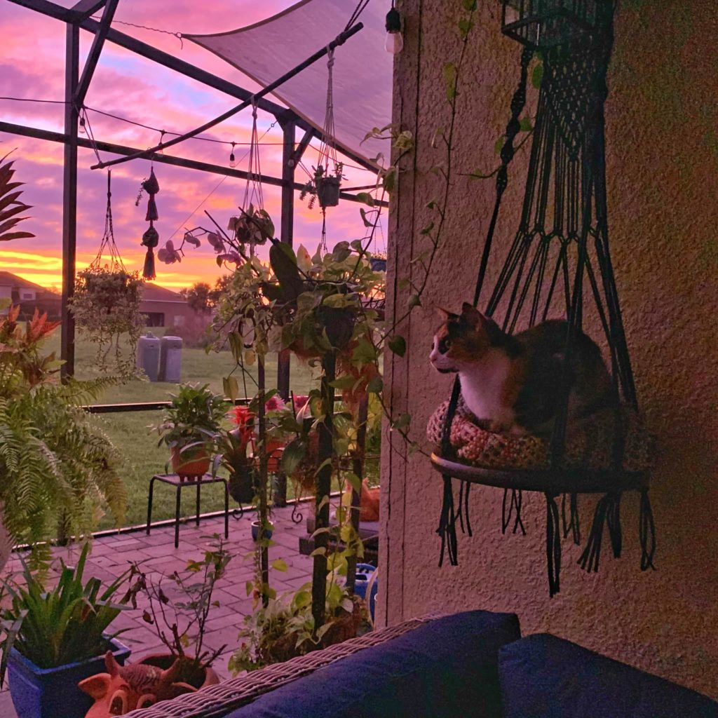 Macrame Cat Bed