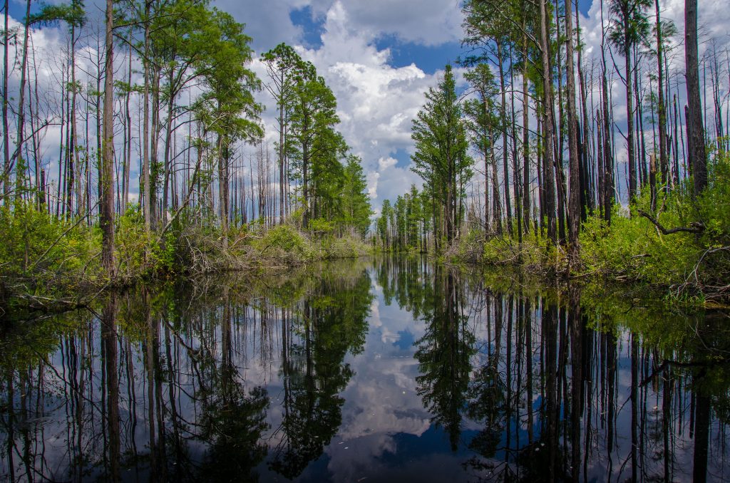 4 Famous Valdosta Movie Locations everything you could want in a