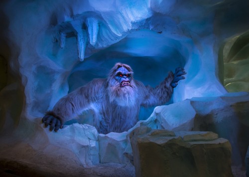 FLURRY OF 'NEW MAGIC' AT MATTERHORN BOBSLEDS (May 20, 2015) Ð The classic Disneyland park attraction features new special effects and the Abominable Snowman as guests have never seen him before. (Paul Hiffmeyer/Disneyland Resort)