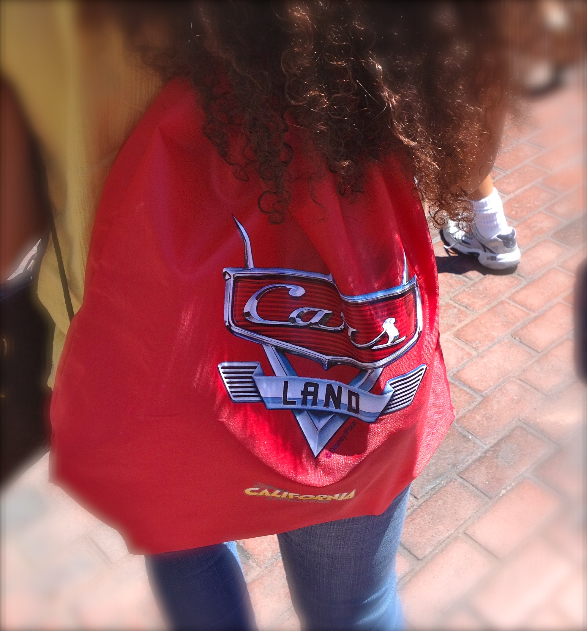 IMG 2568 Trippin With Tara