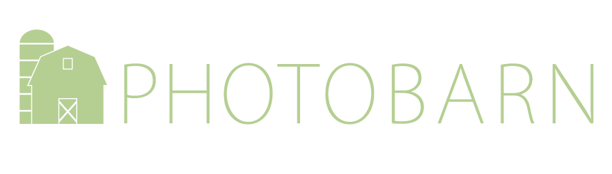 orig-website-logo