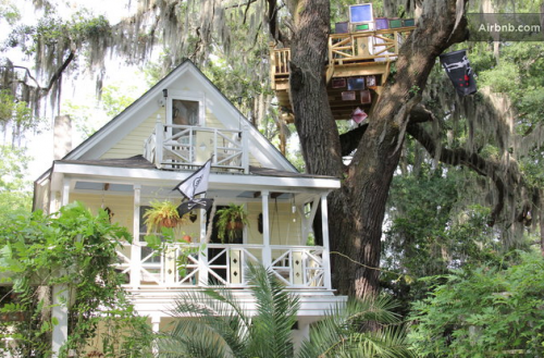 Savannah, GA, treehouse 