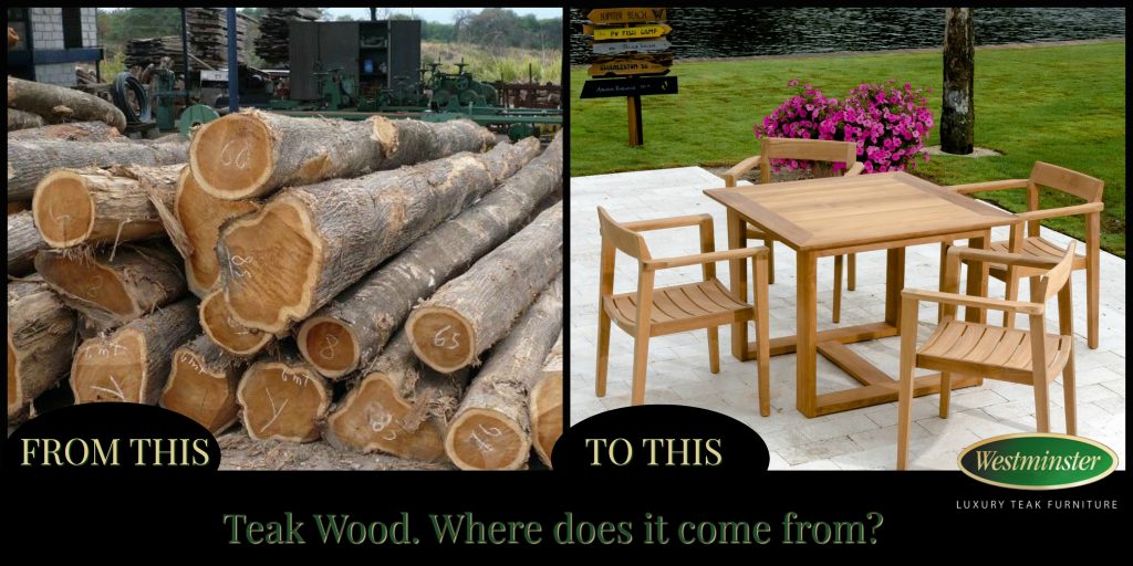 Teak Wood. Where does it come from Trippin with Tara