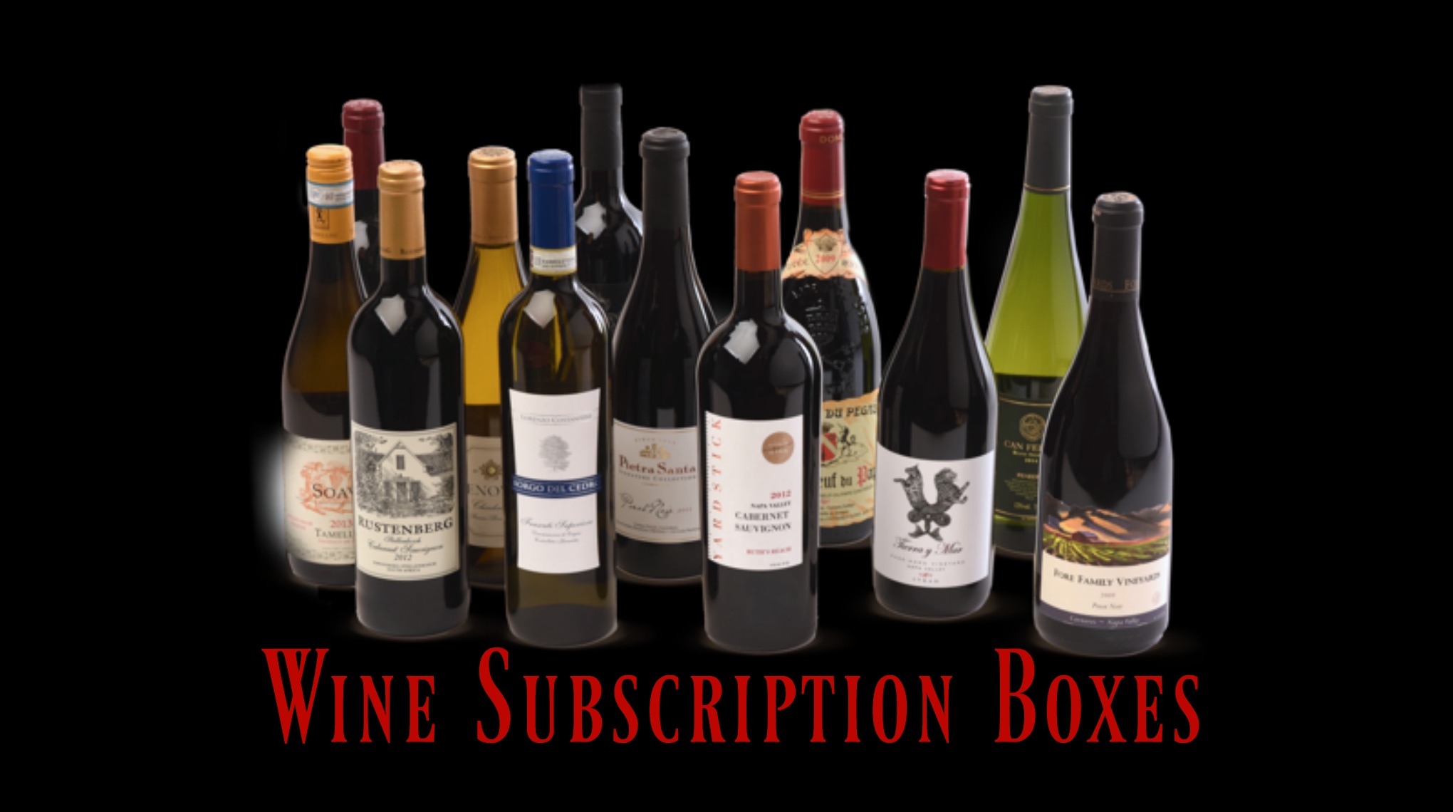 Wine Subscription Boxes Trippin with Tara