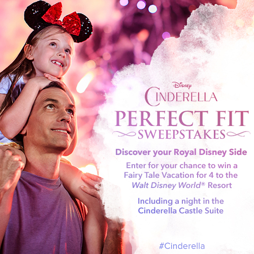 Cinderella Castle 