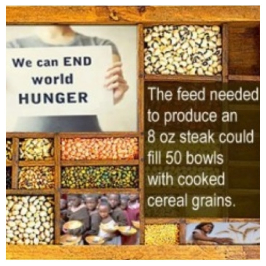 End World Hunger