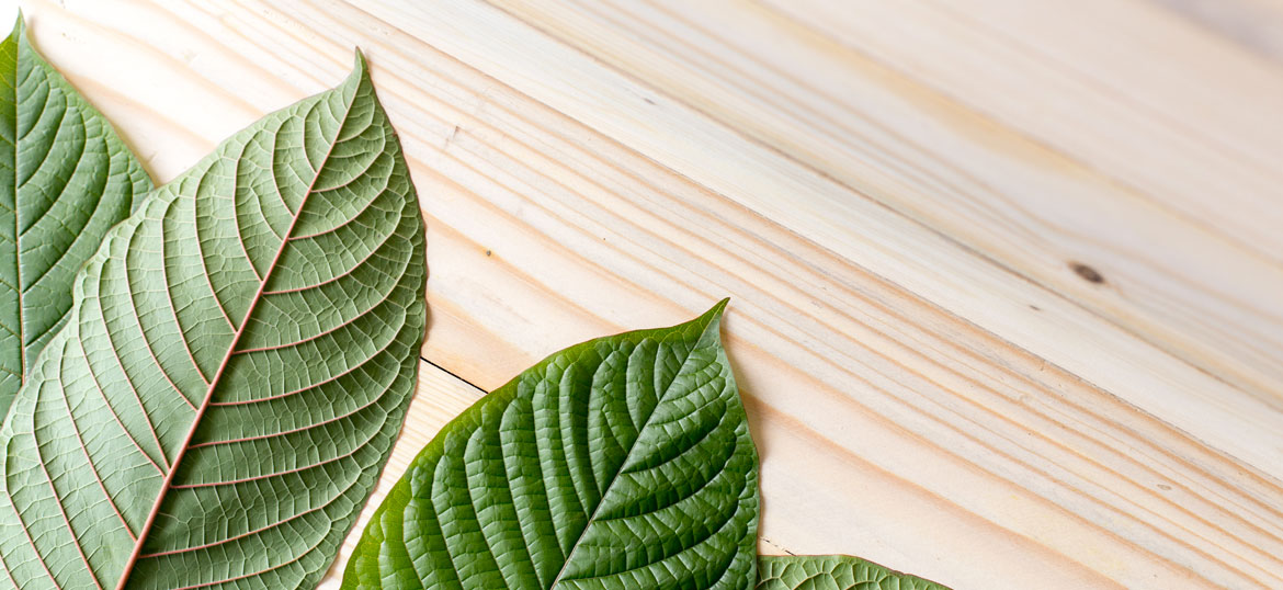 What is Maeng Da Kratom and Why Is It So Popular